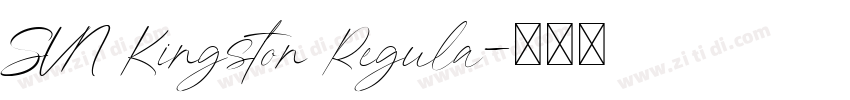 SVN Kingston Regula字体转换
